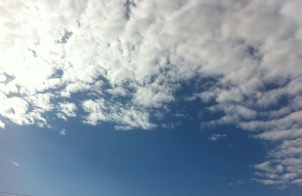 安徽得潤電氣 高低壓電容補(bǔ)償柜 軟啟柜 咨詢熱線4000551777 安徽得潤電氣 高低壓電容補(bǔ)償柜 軟啟柜 咨詢熱線4000551777